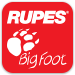 rupes